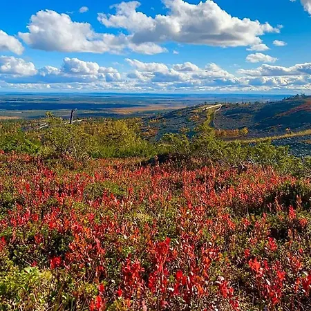 Naava By Interhome Levi